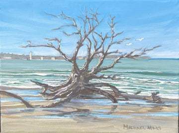 "Driftwood Lunch" - The Irritable Pelican Artisan Gallery