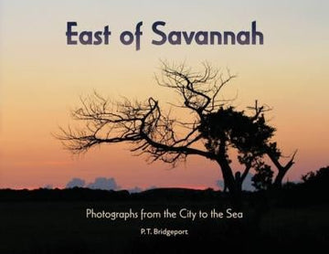 “East of Savannah: Photographs from the City to the Sea” - The Irritable Pelican Artisan Gallery