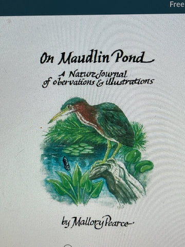 On Maudlin Pond:  A Nature Journal of Observations and Illustrations