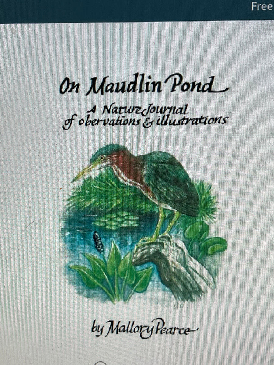On Maudlin Pond:  A Nature Journal of Observations and Illustrations