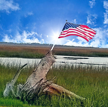 Tybee Flag I - The Irritable Pelican Artisan Gallery