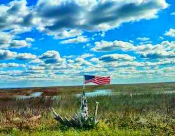 Tybee Flag II - The Irritable Pelican Artisan Gallery