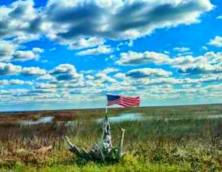 Tybee Flag II - The Irritable Pelican Artisan Gallery