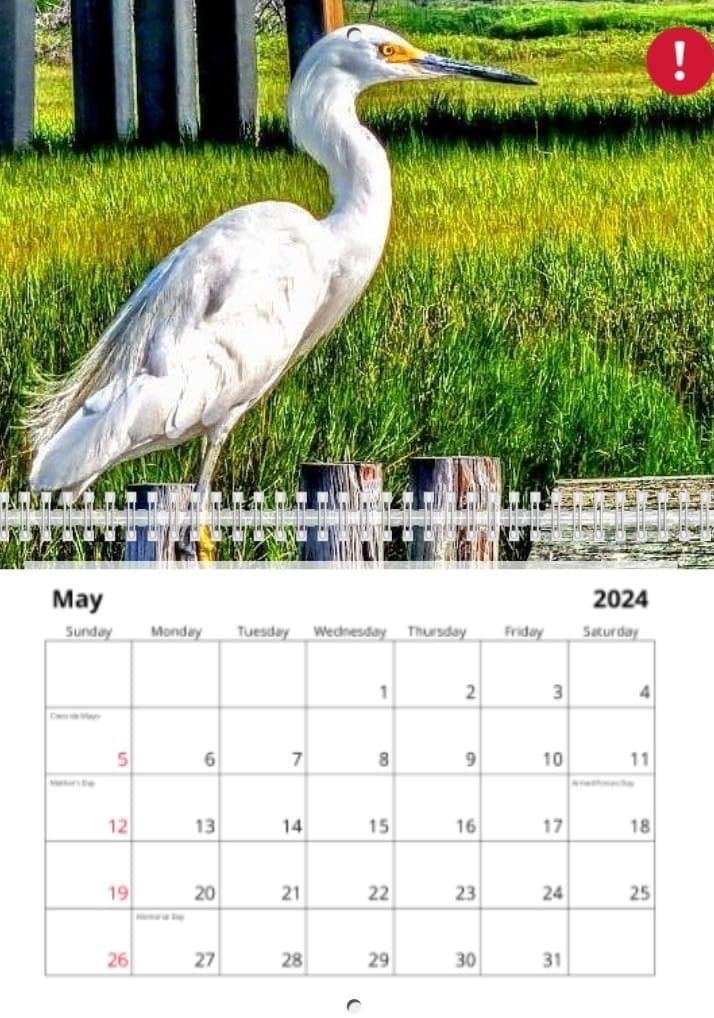 2024 TybeePhoto Calendar Pre-Order - The Irritable Pelican Artisan Gallery