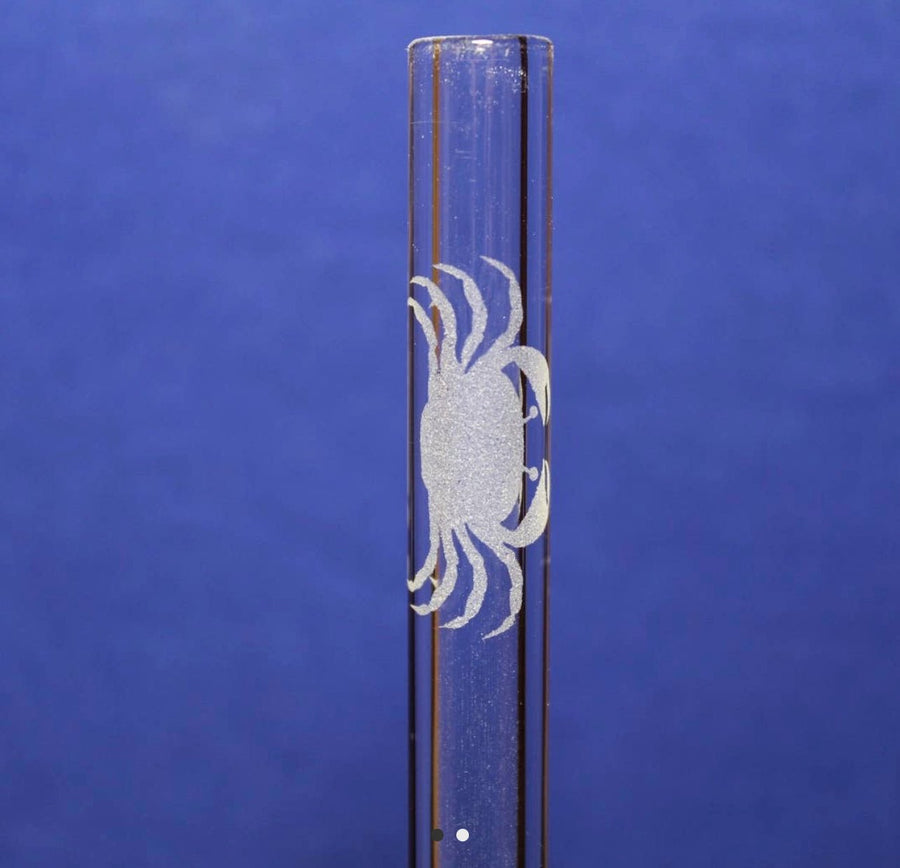 Etched Glass Drinking Straw - The Irritable Pelican Artisan Gallery