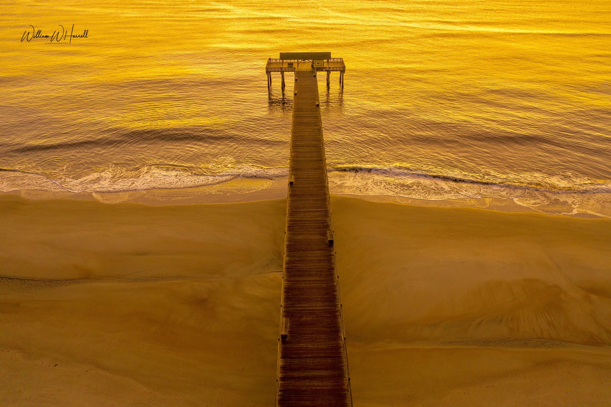 “Golden Pier” - The Irritable Pelican Artisan Gallery