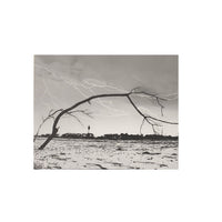 "Tybee Lighthouse Lightning" - The Irritable Pelican Artisan Gallery