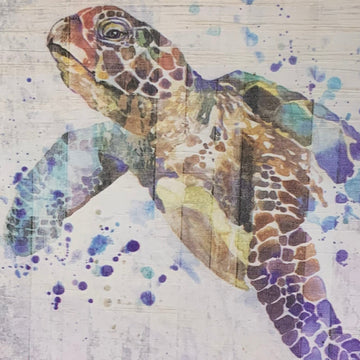 Watercolor Sea Turtle Charmer - The Irritable Pelican Artisan Gallery